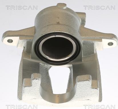 Triscan 8175 10110 - Тормозной суппорт autosila-amz.com