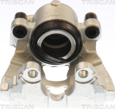 Triscan 8175 10131 - Тормозной суппорт autosila-amz.com