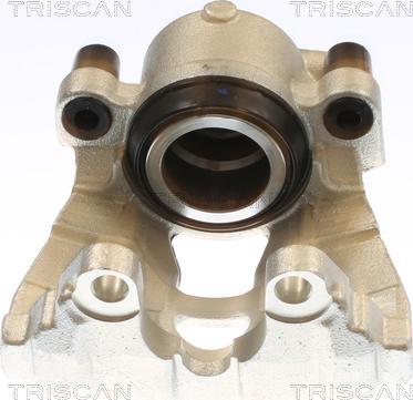 Triscan 8175 10132 - Тормозной суппорт autosila-amz.com