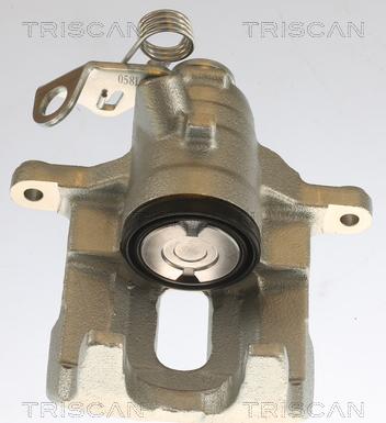 Triscan 8175 10209 - Тормозной суппорт autosila-amz.com