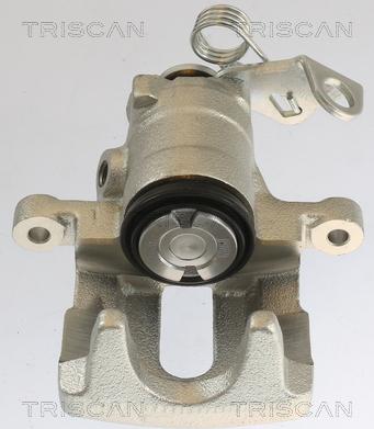 Triscan 8175 10202 - Тормозной суппорт autosila-amz.com