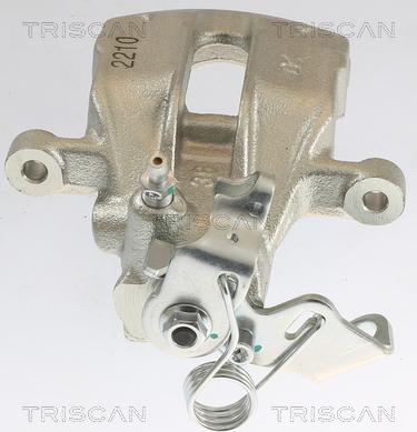 Triscan 8175 10202 - Тормозной суппорт autosila-amz.com