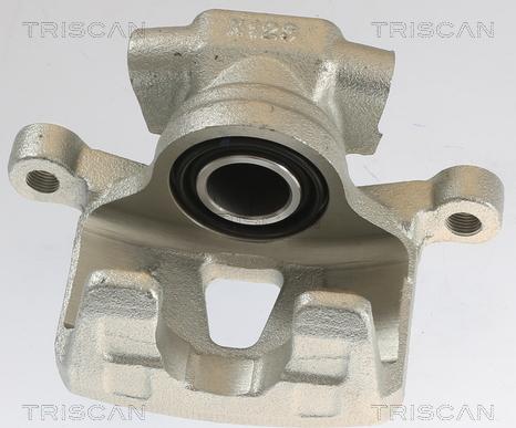 Triscan 8175 10213 - Тормозной суппорт autosila-amz.com