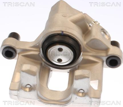 Triscan 8175 10239 - Тормозной суппорт autosila-amz.com