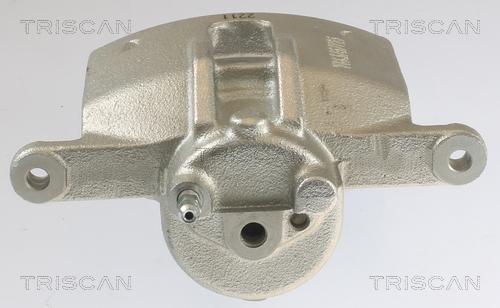 Triscan 8175 13101 - Тормозной суппорт autosila-amz.com