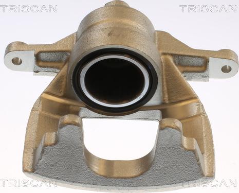 Triscan 8175 13134 - Тормозной суппорт autosila-amz.com