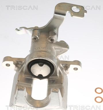 Triscan 8175 13213 - Тормозной суппорт autosila-amz.com