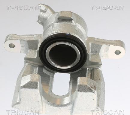 Triscan 8175 17201 - Тормозной суппорт autosila-amz.com