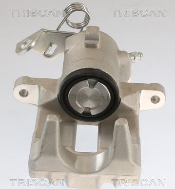 Triscan 8175 29203 - Тормозной суппорт autosila-amz.com