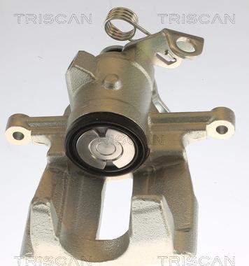 Triscan 8175 29220 - Тормозной суппорт autosila-amz.com