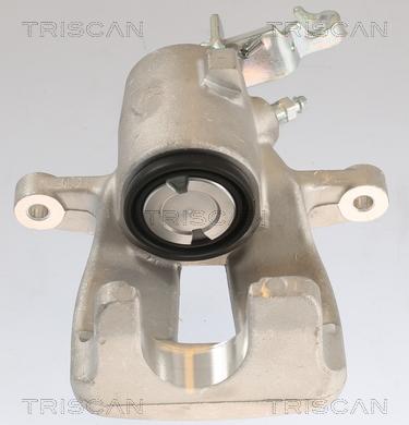 Triscan 8175 29228 - Тормозной суппорт autosila-amz.com