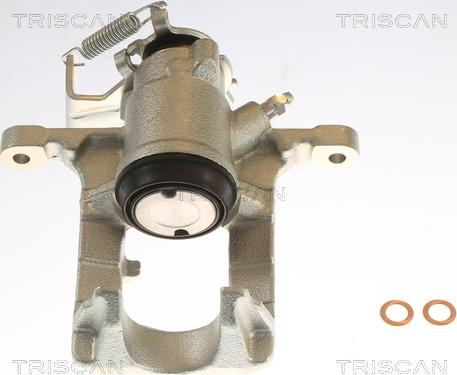 Triscan 8175 24209 - Тормозной суппорт autosila-amz.com