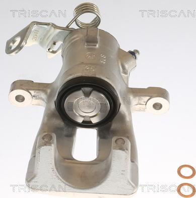 Triscan 8175 24201 - Тормозной суппорт autosila-amz.com