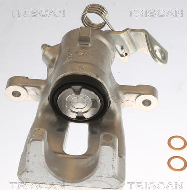 Triscan 8175 24202 - Тормозной суппорт autosila-amz.com