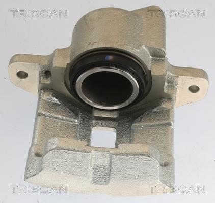 Triscan 8175 25101 - Тормозной суппорт autosila-amz.com