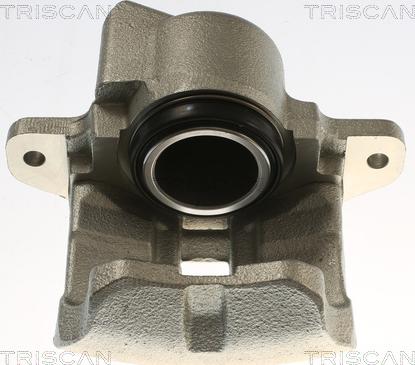 Triscan 8175 25103 - Тормозной суппорт autosila-amz.com