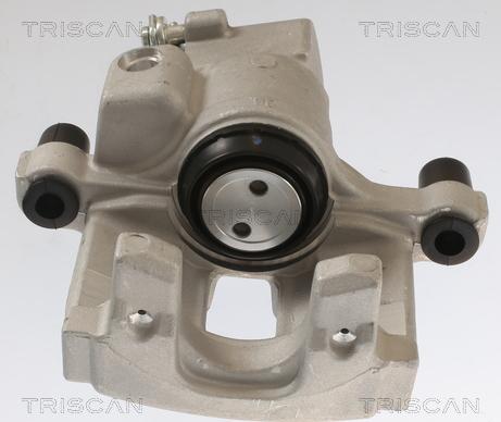 Triscan 8175 25202 - Тормозной суппорт autosila-amz.com