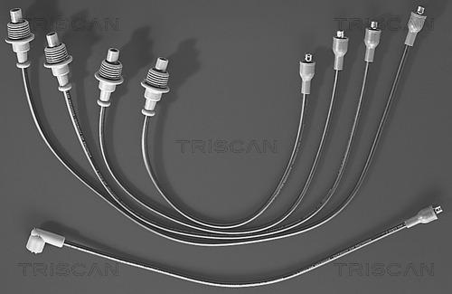 Triscan 8860 4303 - Комплект проводов зажигания autosila-amz.com