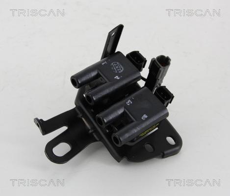 Triscan 8860 43029 - Катушка зажигания autosila-amz.com