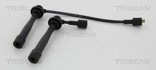 Triscan 8860 69010 - Комплект проводов зажигания autosila-amz.com