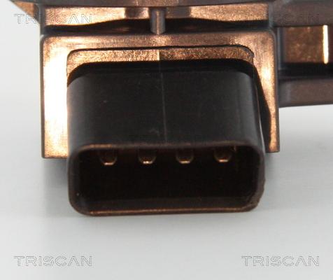 Triscan 8860 13036 - Катушка зажигания autosila-amz.com