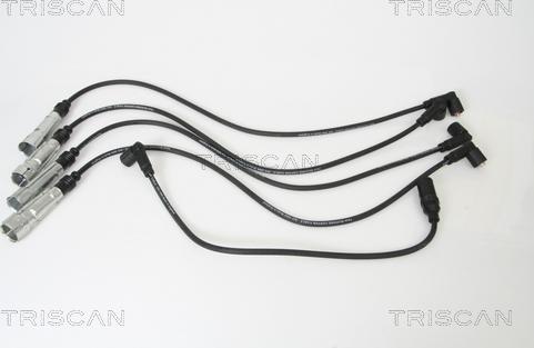 Triscan 8860 29013 - Комплект проводов зажигания autosila-amz.com