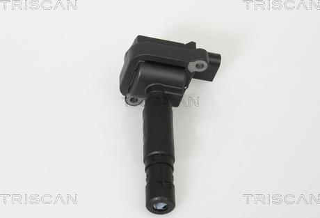 Triscan 8860 23004 - Катушка зажигания autosila-amz.com