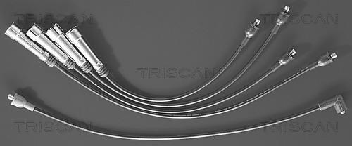 Triscan 8860 7244 - Комплект проводов зажигания autosila-amz.com