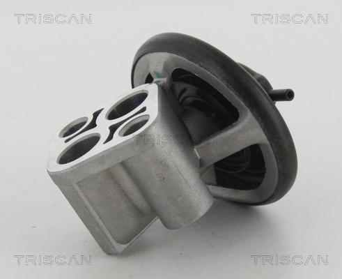 Triscan 8813 43007 - Клапан возврата ОГ autosila-amz.com