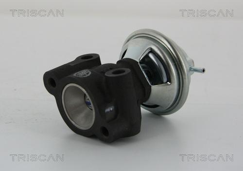 Triscan 8813 43014 - Клапан возврата ОГ autosila-amz.com