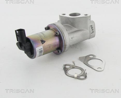 Triscan 8813 43021 - Клапан возврата ОГ autosila-amz.com