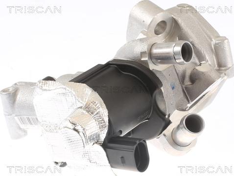 Triscan 8813 14006 - Клапан возврата ОГ autosila-amz.com