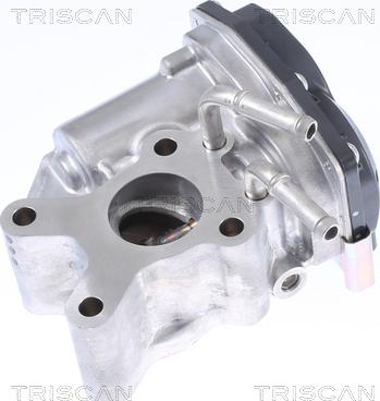 Triscan 8813 14015 - Клапан возврата ОГ autosila-amz.com