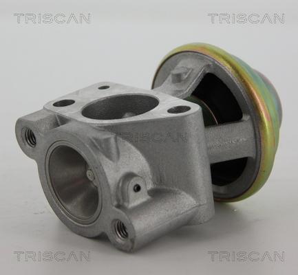 Triscan 8813 15040 - Клапан возврата ОГ autosila-amz.com