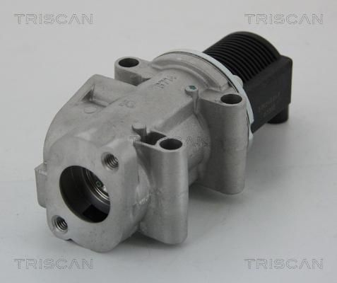 Triscan 8813 15032 - Клапан возврата ОГ autosila-amz.com