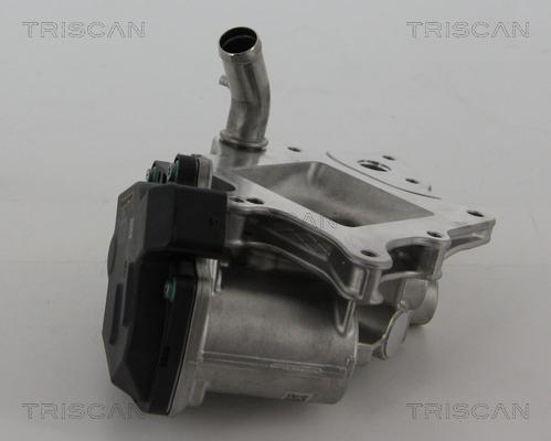 Triscan 8813 15205 - Клапан возврата ОГ autosila-amz.com