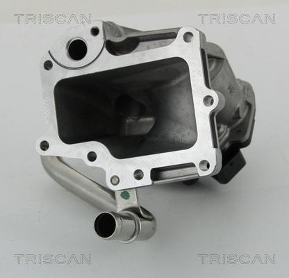 Triscan 8813 15206 - Клапан возврата ОГ autosila-amz.com