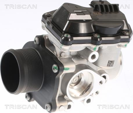 Triscan 8813 16002 - Клапан возврата ОГ autosila-amz.com