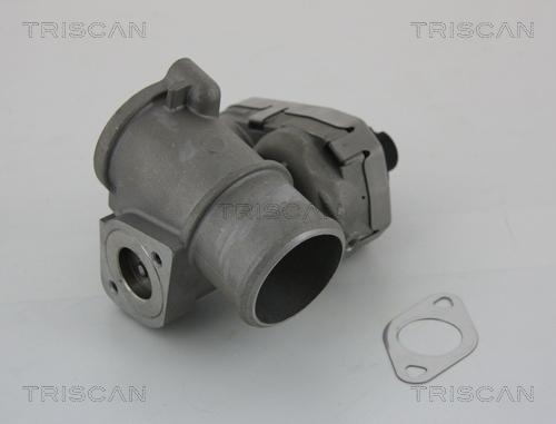 Triscan 8813 16101 - Клапан возврата ОГ autosila-amz.com