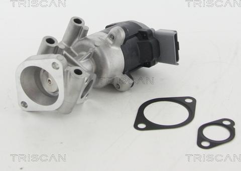 Triscan 8813 10009 - Клапан возврата ОГ autosila-amz.com