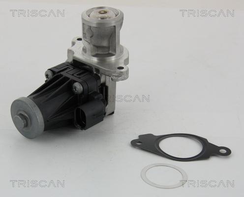 Triscan 8813 10004 - Клапан возврата ОГ autosila-amz.com