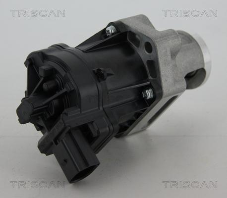Triscan 8813 10006 - Клапан возврата ОГ autosila-amz.com