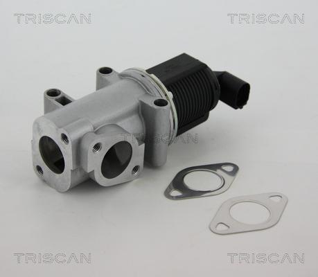 Triscan 8813 10015 - Клапан возврата ОГ autosila-amz.com