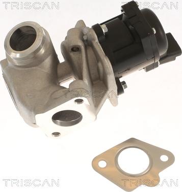 Triscan 8813 10018 - Клапан возврата ОГ autosila-amz.com