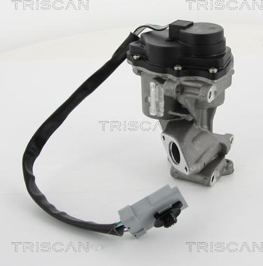 Triscan 8813 10202 - Клапан возврата ОГ autosila-amz.com