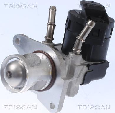 Triscan 8813 11001 - Клапан возврата ОГ autosila-amz.com