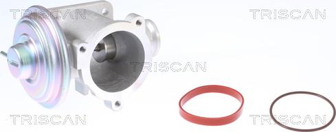 Triscan 8813 11003 - Клапан возврата ОГ autosila-amz.com