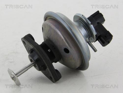 Triscan 8813 11002 - Клапан возврата ОГ autosila-amz.com