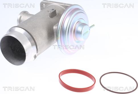 Triscan 8813 11102 - Клапан возврата ОГ autosila-amz.com