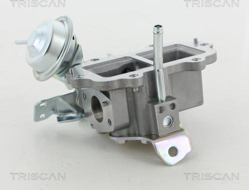 Triscan 8813 13056 - Клапан возврата ОГ autosila-amz.com